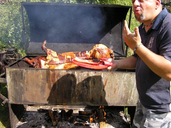 Čuníka takto prostě miluji